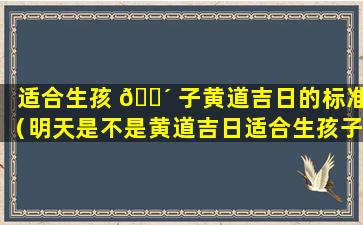 适合生孩 🌴 子黄道吉日的标准（明天是不是黄道吉日适合生孩子吗）